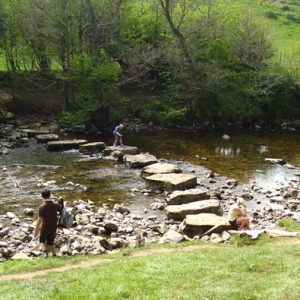 River Cover stepping stones